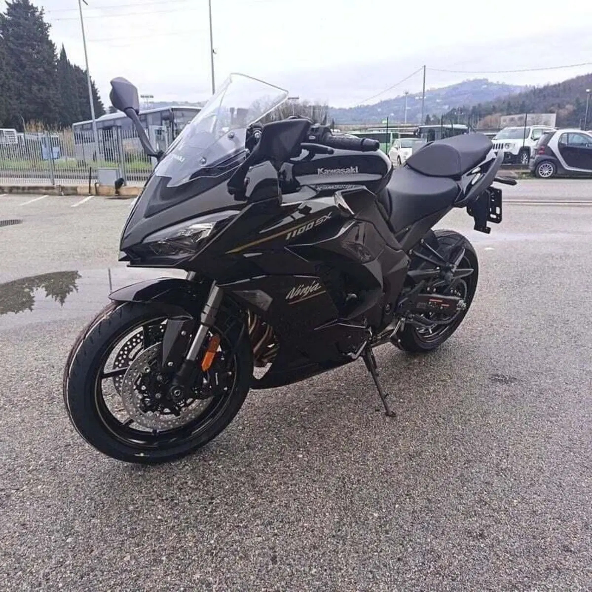 Kawasaki Ninja 1100 SX (2025 - 26) (5)
