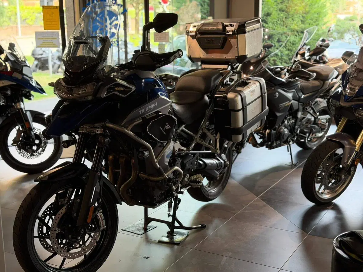 Triumph Tiger 1200 GT Explorer (2022 - 23) (4)