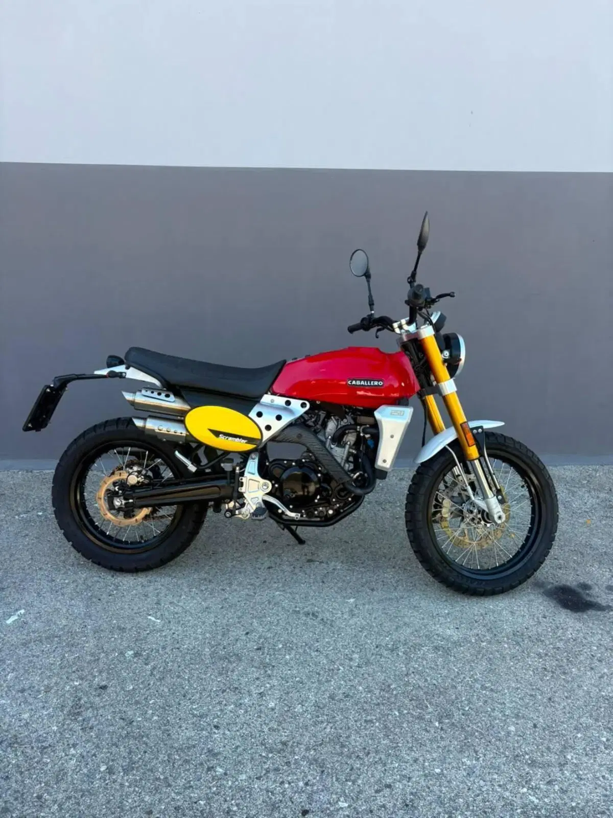 Fantic Motor Caballero 250 Scrambler 4T (2018 - 21) (5)