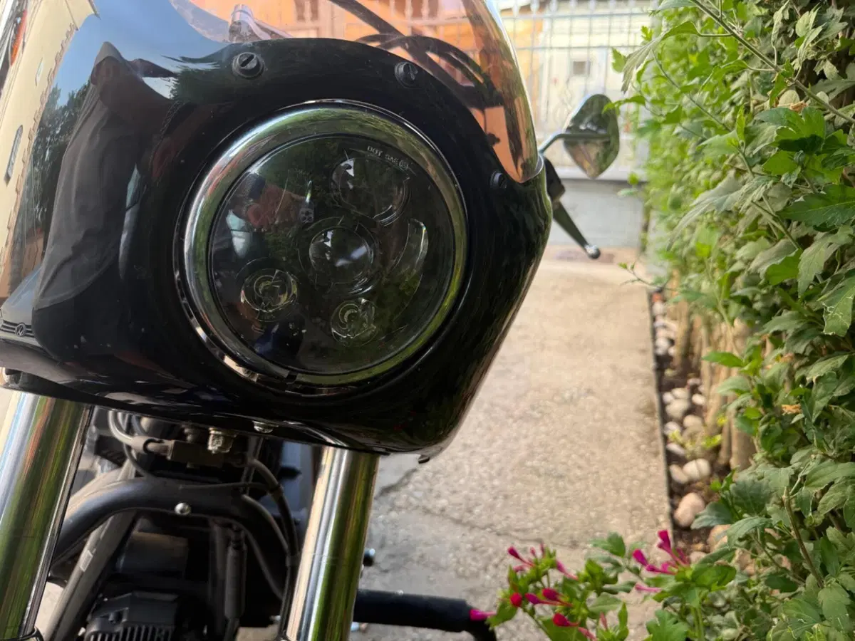 Harley-Davidson 1690 Street Bob Special (2015 - 16) - FXDB (3)