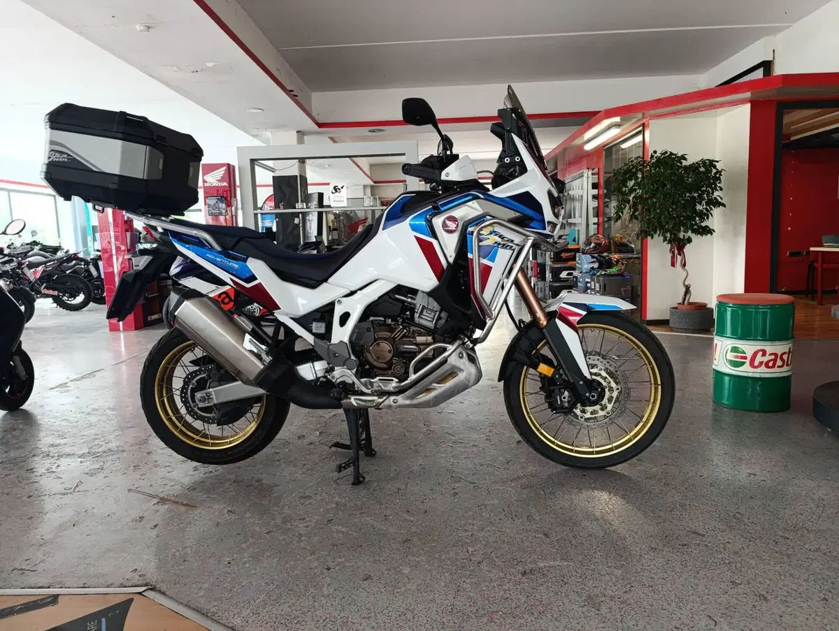 Honda Africa Twin CRF 1100L Adventure Sports DCT (2020 - 21)