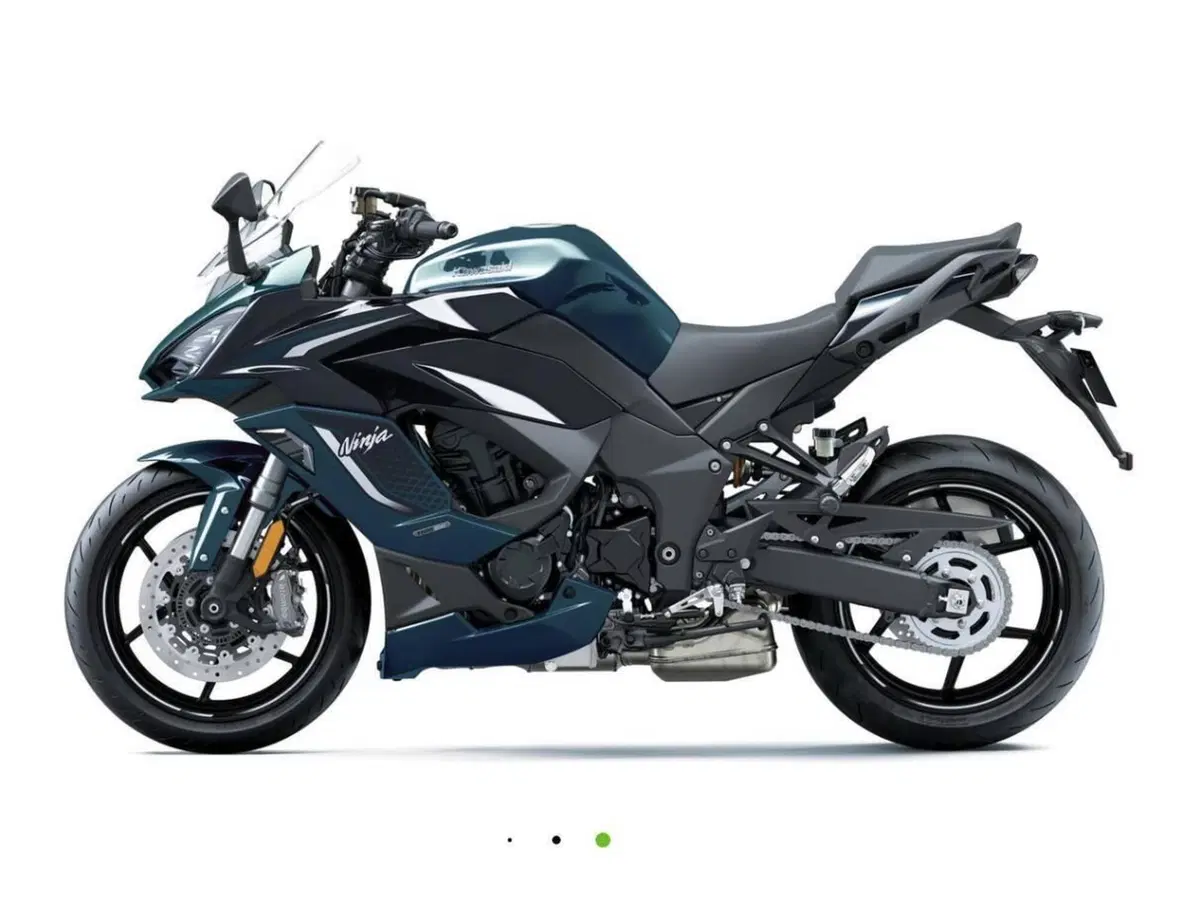 Kawasaki Ninja 1100 SX SE (2025 - 26) (3)