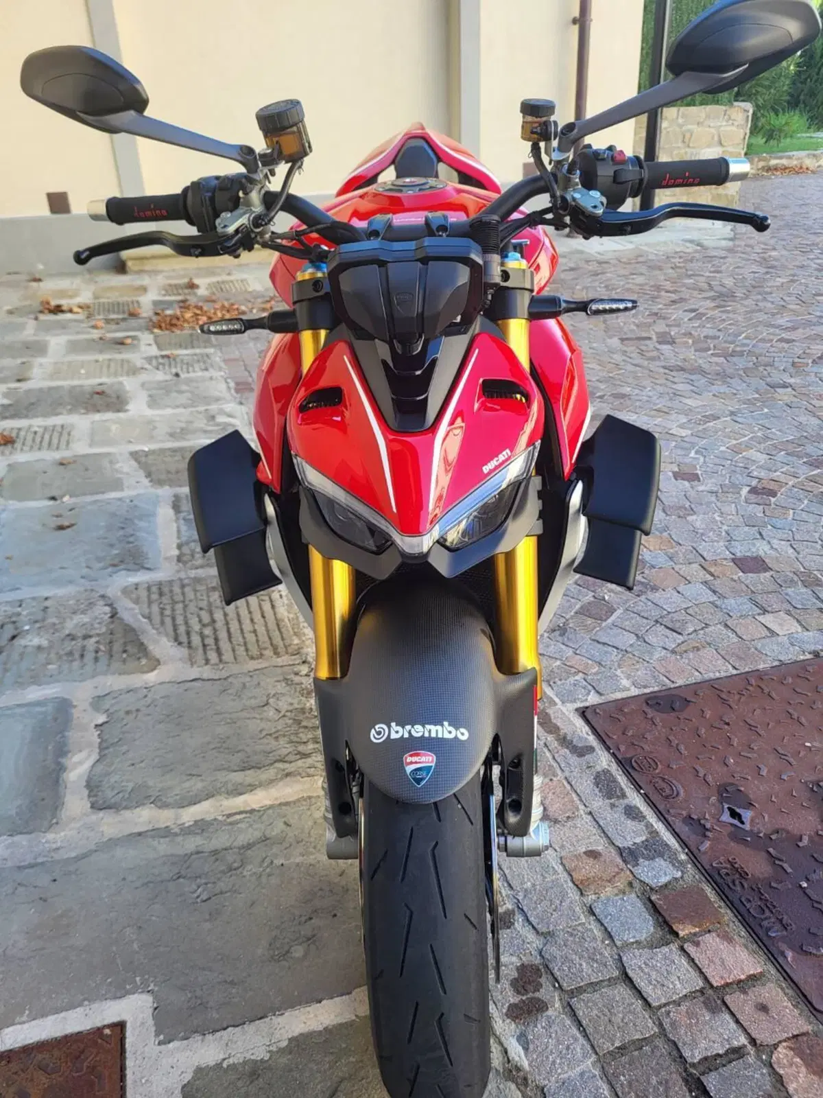 Ducati Streetfighter V4 1100 S (2020) (3)
