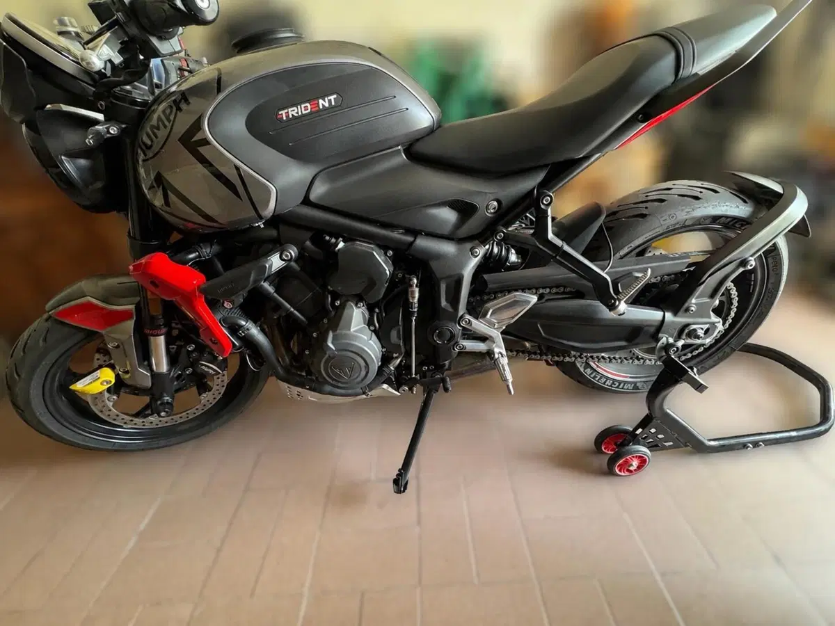 Triumph Trident 660 (2021 - 24) (3)
