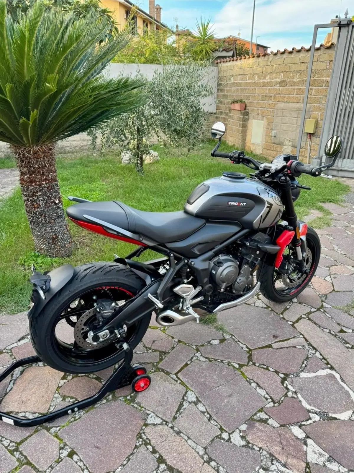 Triumph Trident 660 (2021 - 24) (2)