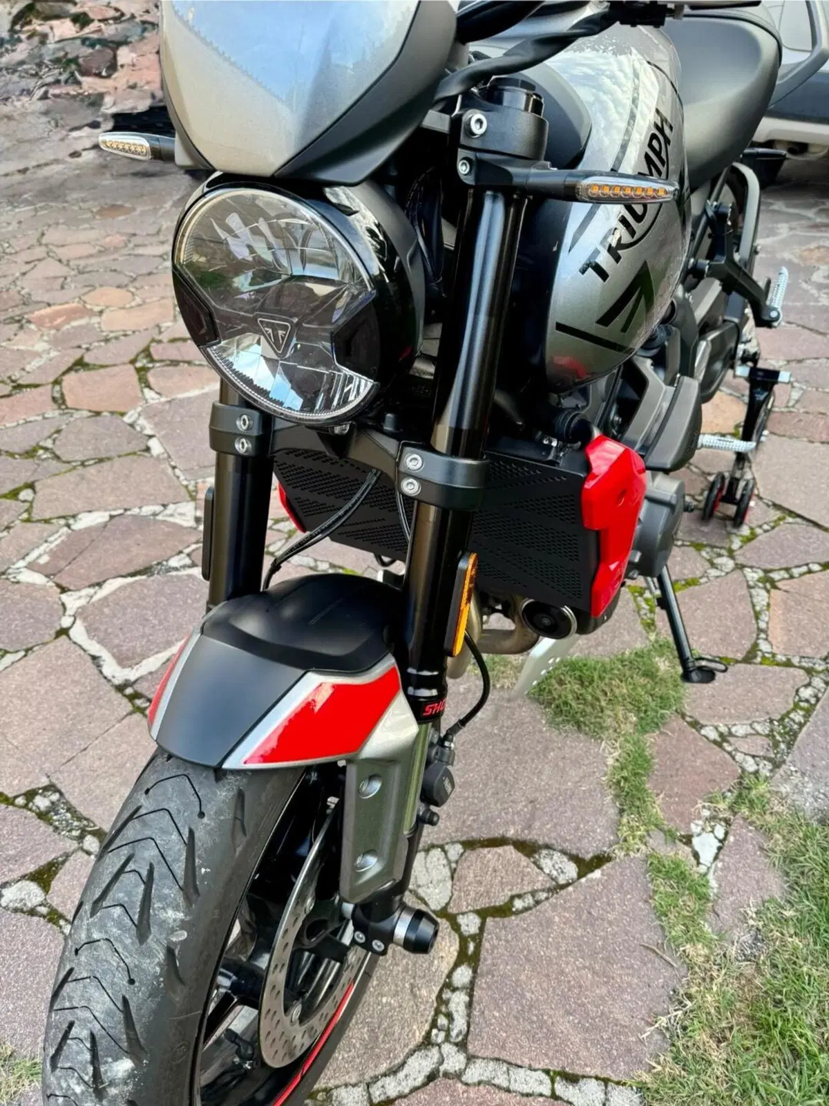 Triumph Trident 660 (2021 - 24) (8)