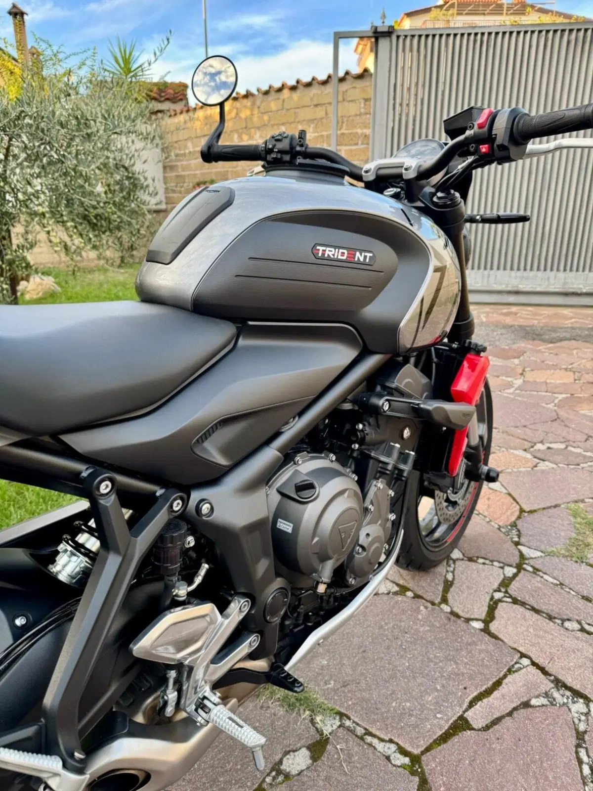 Triumph Trident 660 (2021 - 24) (6)