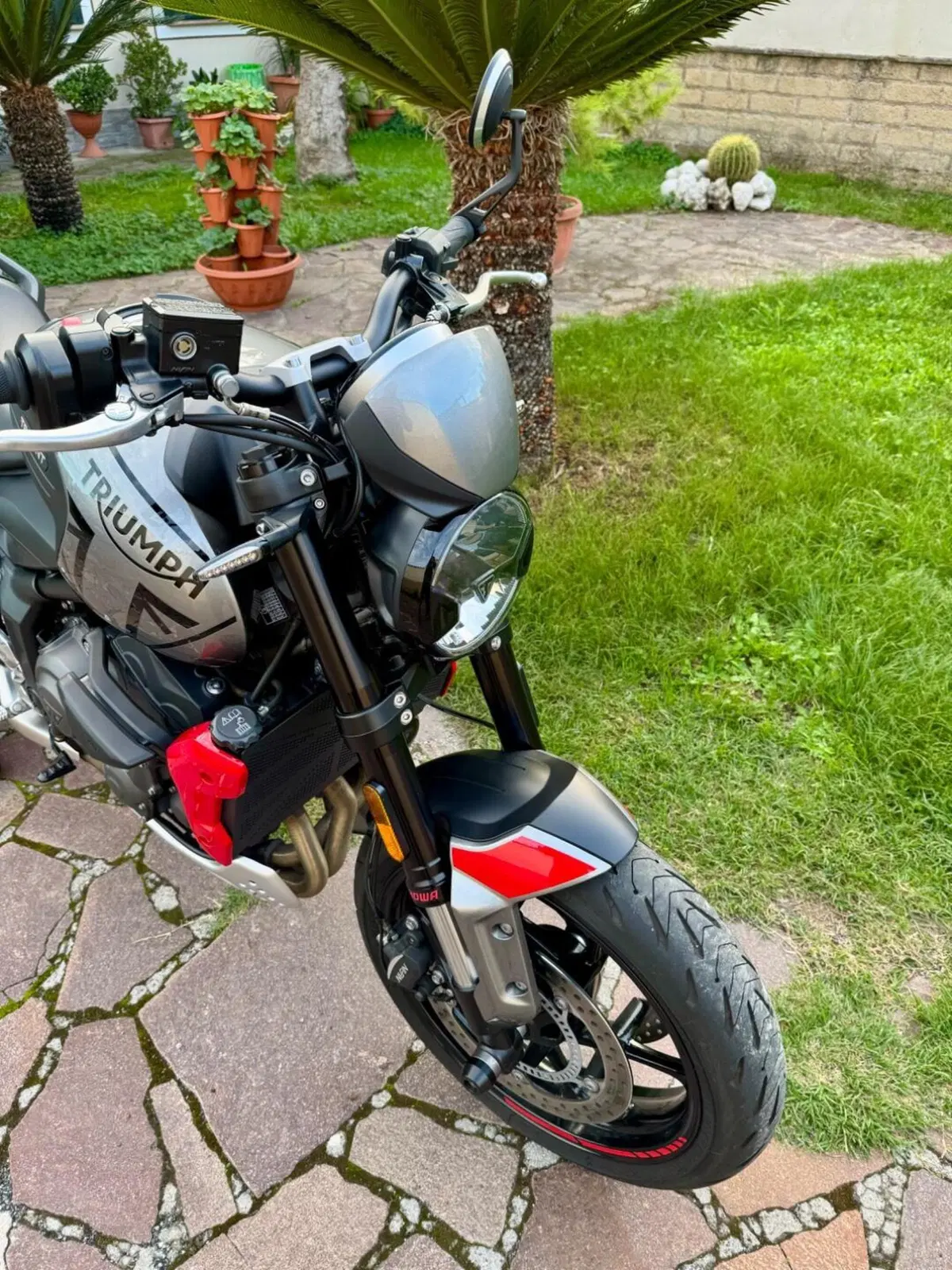 Triumph Trident 660 (2021 - 24) (4)