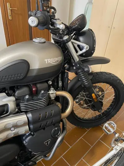 Triumph Street Scrambler 900 Sandstorm (2021 - 22) usata