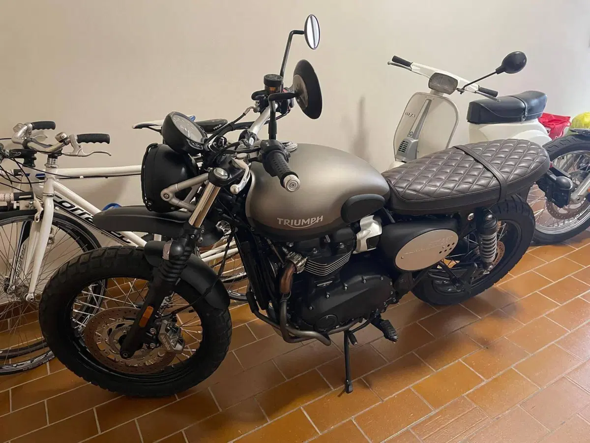 Triumph Street Scrambler 900 Sandstorm (2021 - 22) (2)