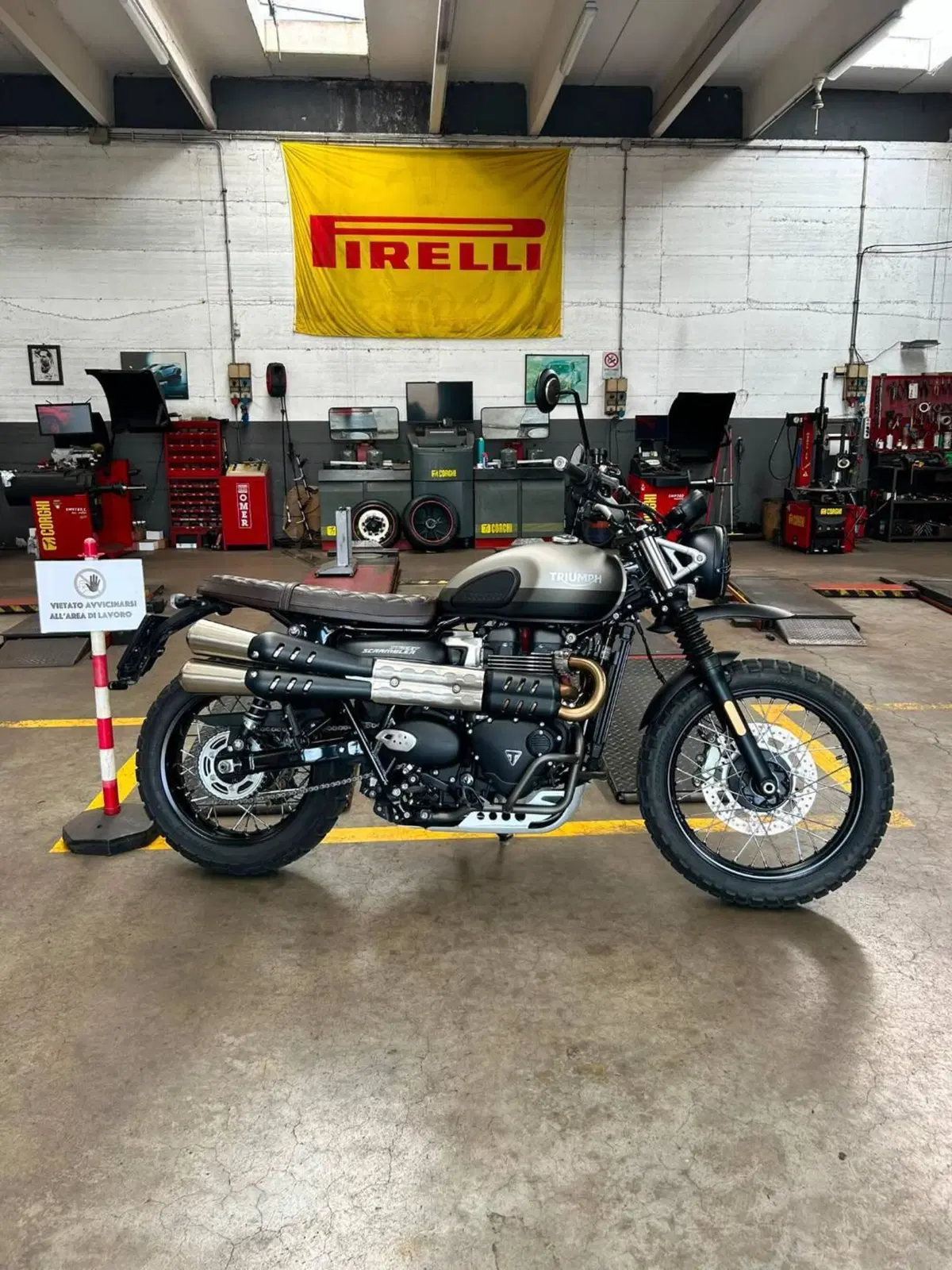 Triumph Street Scrambler 900 Sandstorm (2021 - 22) (3)