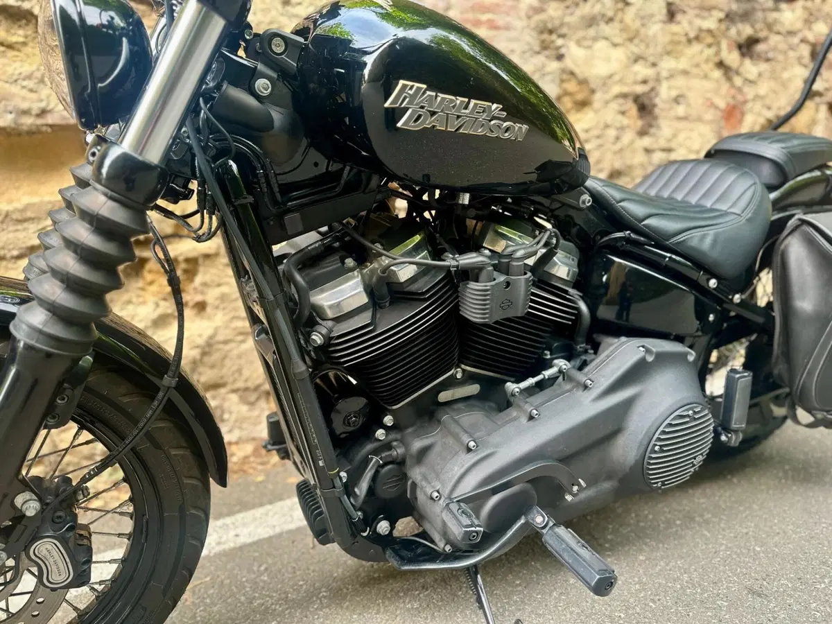 Harley-Davidson 107 Street Bob (2018 - 20) - FXBB (6)