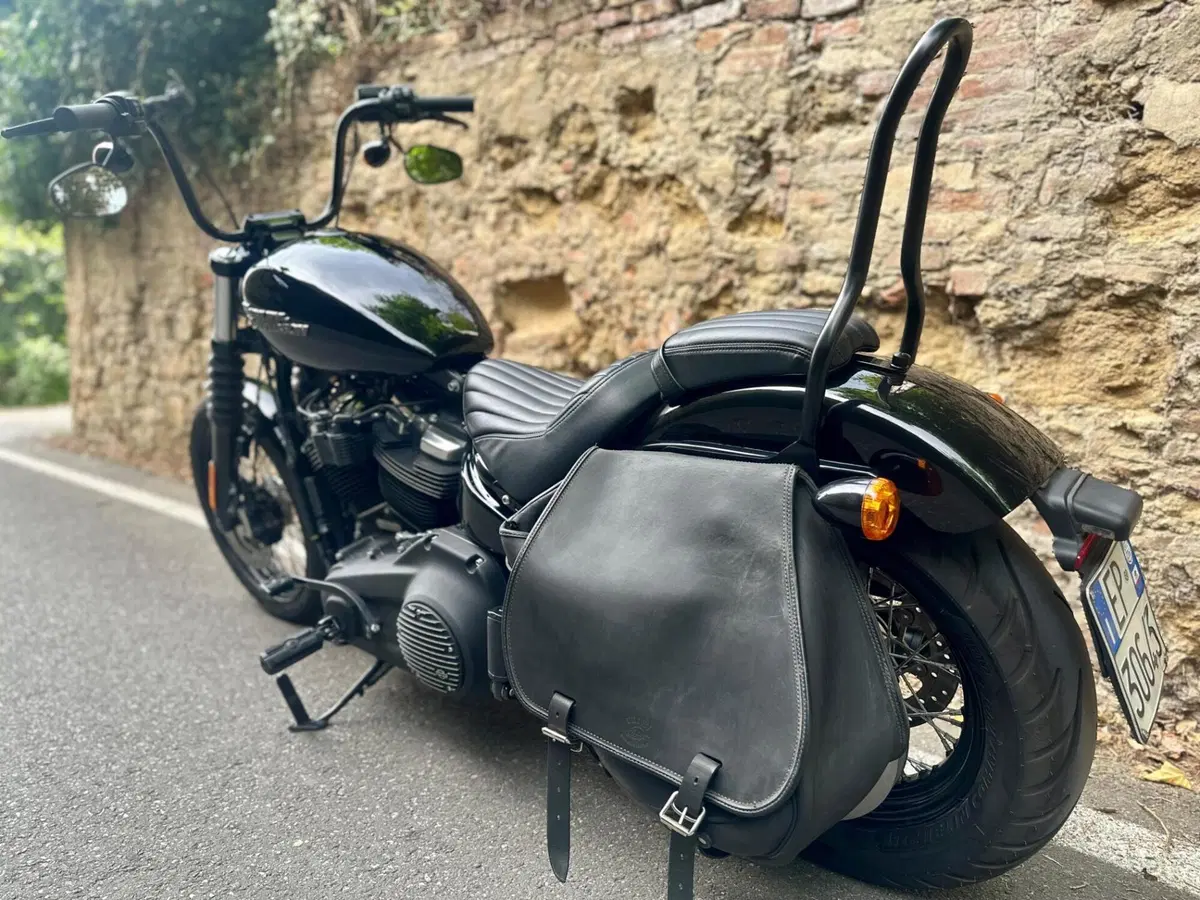 Harley-Davidson 107 Street Bob (2018 - 20) - FXBB (7)