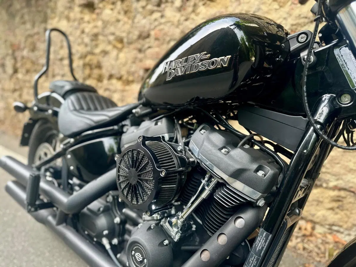 Harley-Davidson 107 Street Bob (2018 - 20) - FXBB (8)