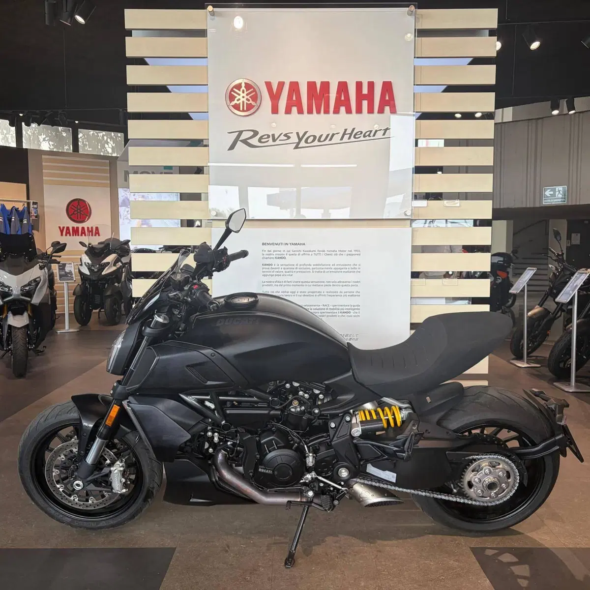 Ducati Diavel 1260 (2021 - 22) (8)