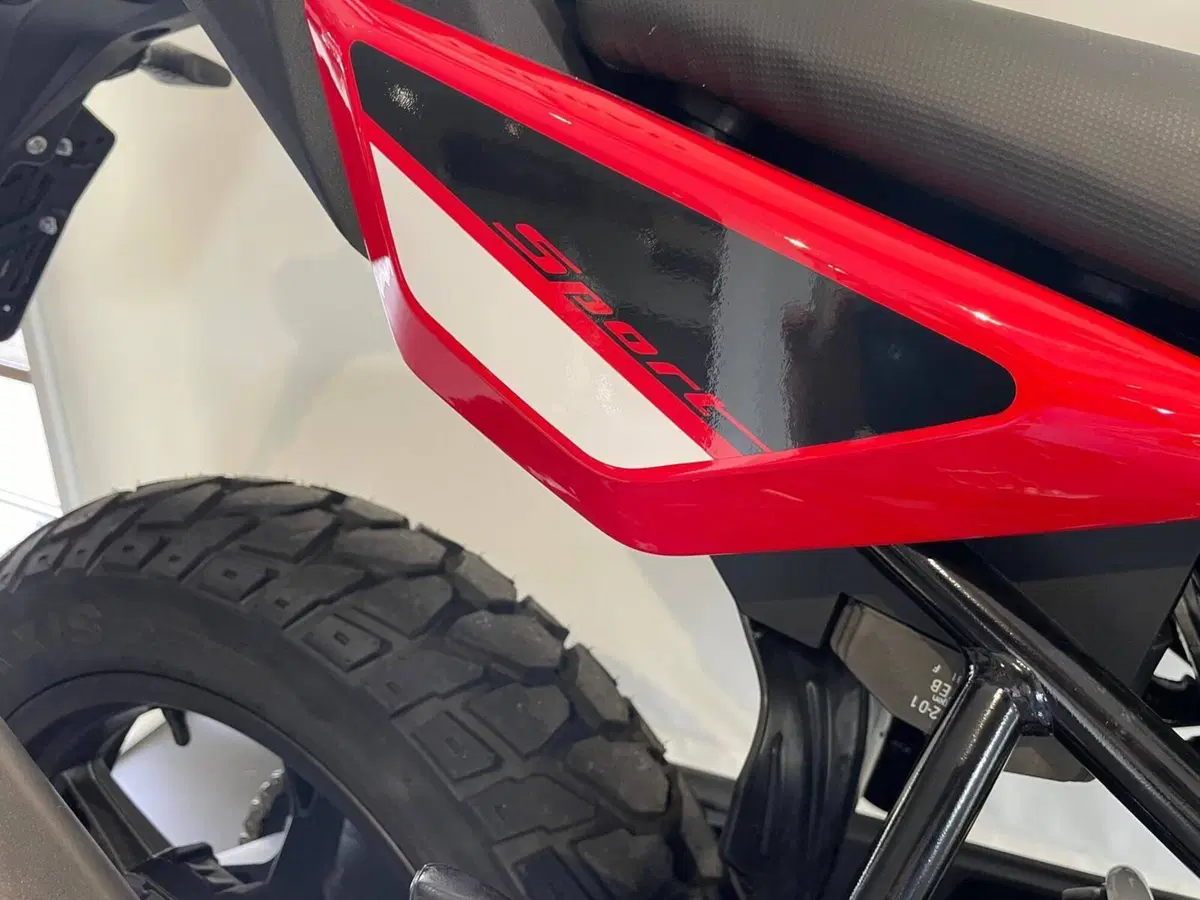 Bmw F 450 GS (2026) (3)
