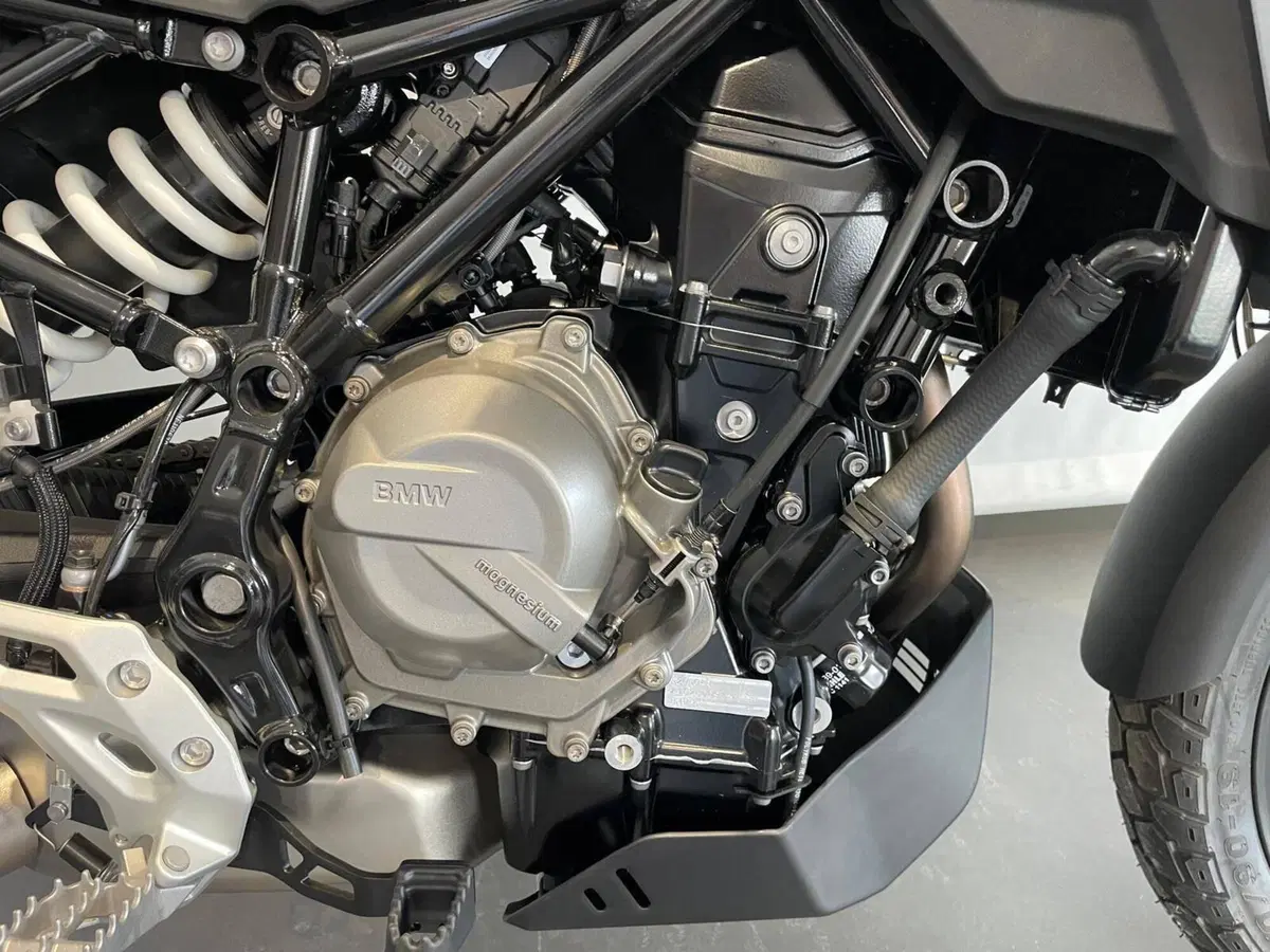 Bmw F 450 GS (2026) (4)