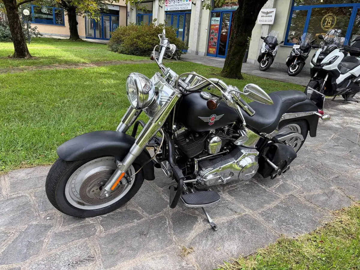Harley-Davidson 1450 Fat Boy (1999 - 02) - FLSTF (2)