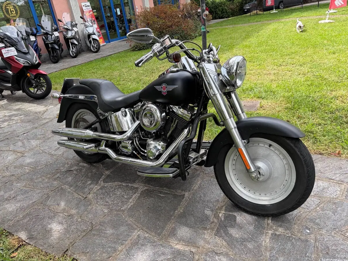 Harley-Davidson 1450 Fat Boy (1999 - 02) - FLSTF (4)