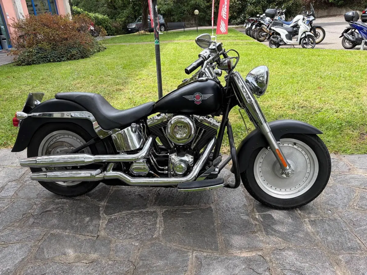 Harley-Davidson 1450 Fat Boy (1999 - 02) - FLSTF (5)
