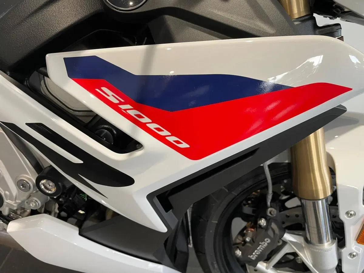 Bmw S 1000 R (2025 - 27) (8)