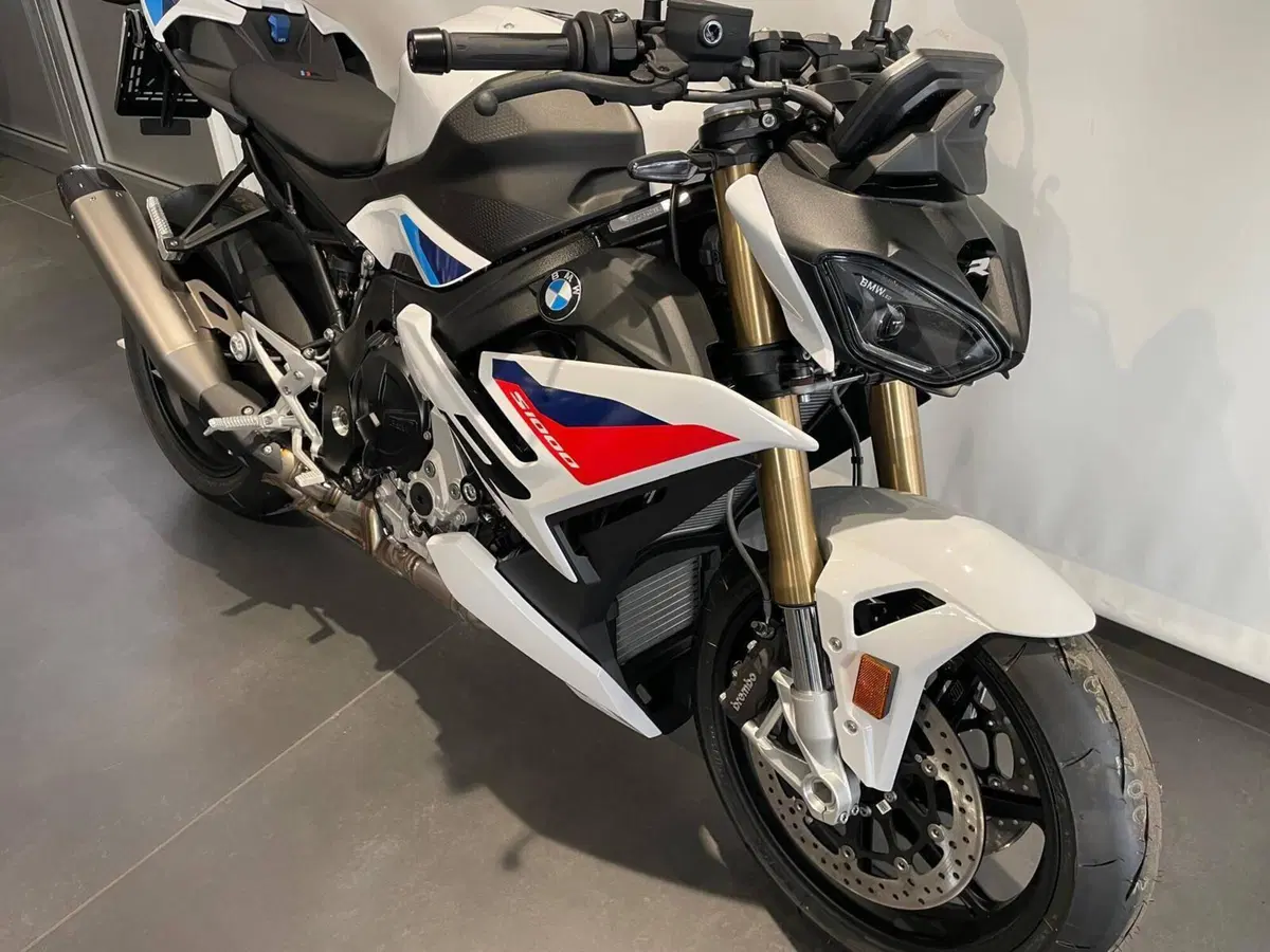 Bmw S 1000 R (2025 - 27) (11)