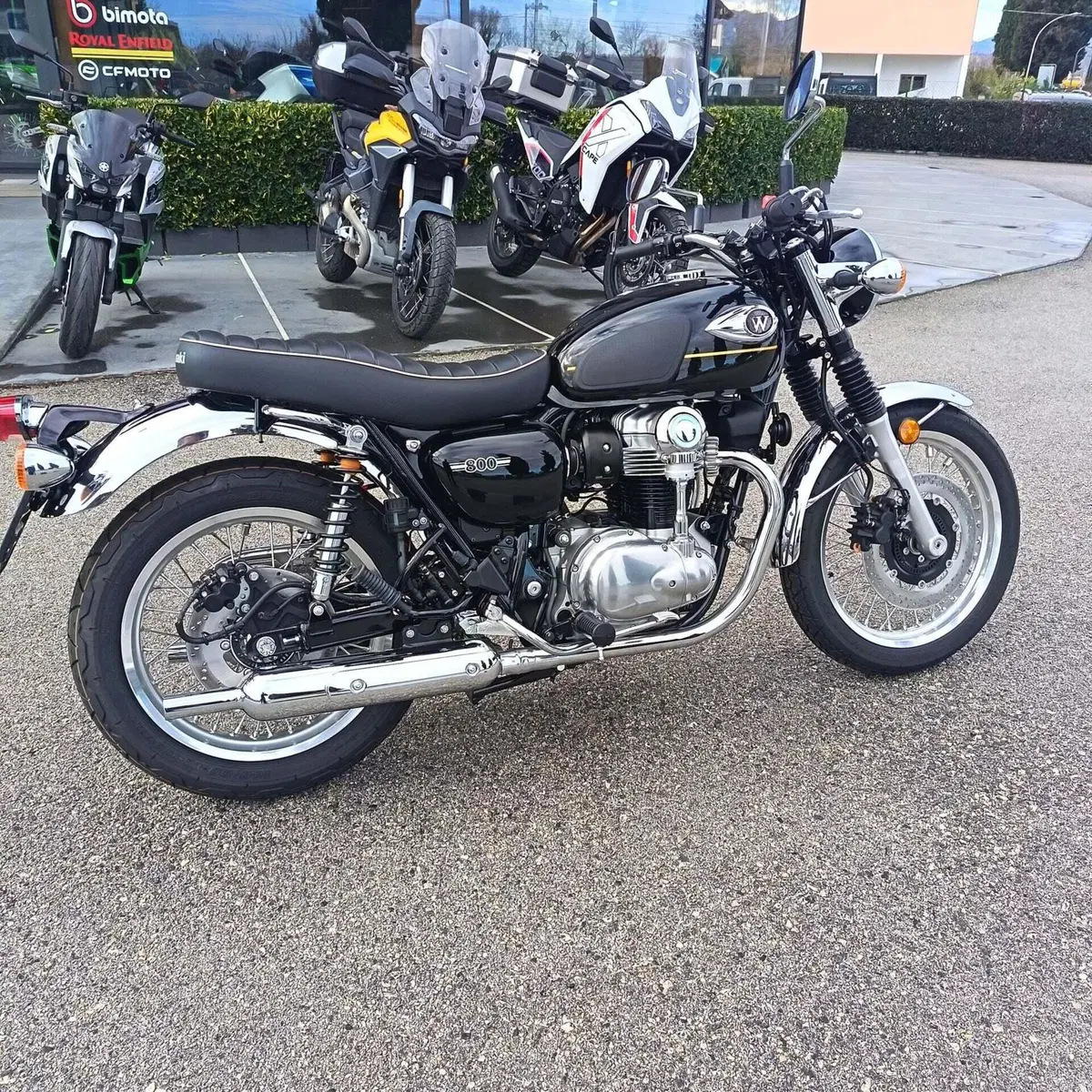 Kawasaki W 800 (2021 - 26) (6)