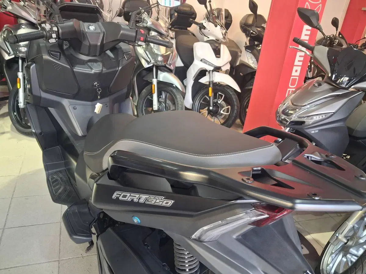 QJ Motor Fort 350 (2024) (2)