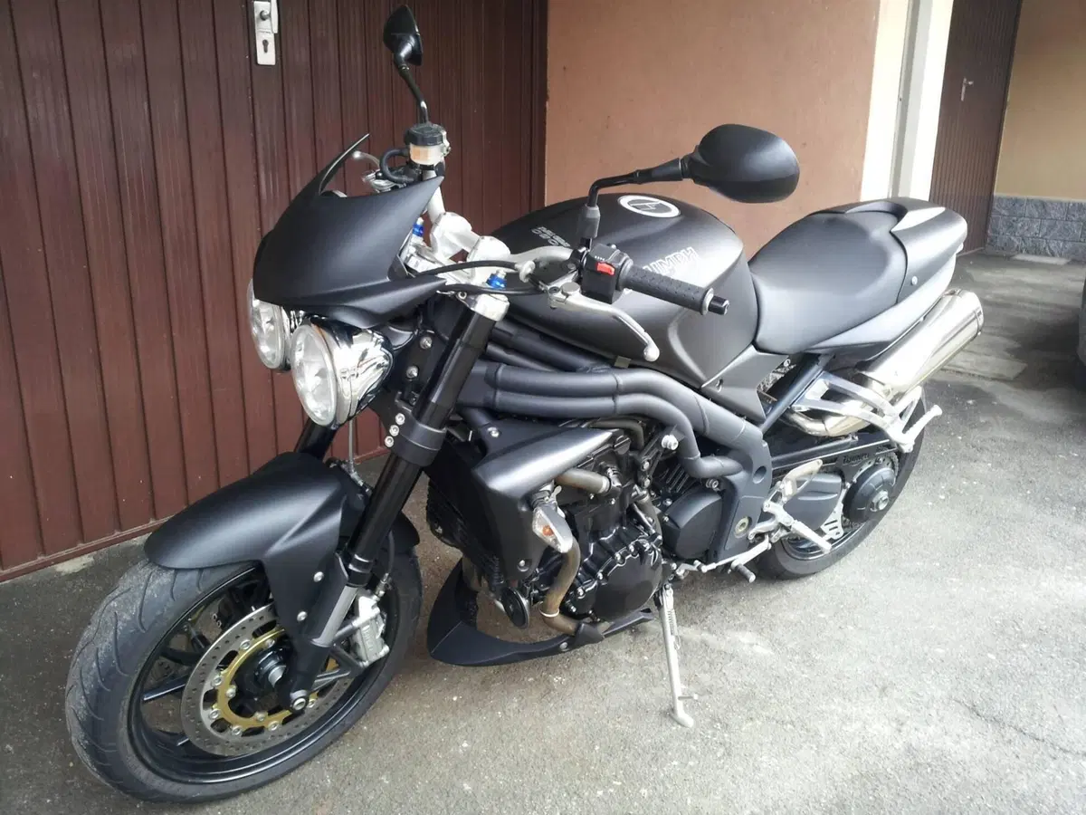 Triumph Speed Triple 1050 (2005 - 11) (2)