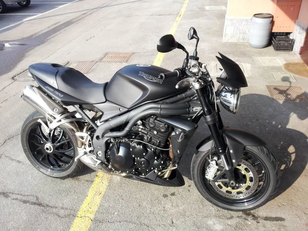 Triumph Speed Triple 1050 (2005 - 11) (3)