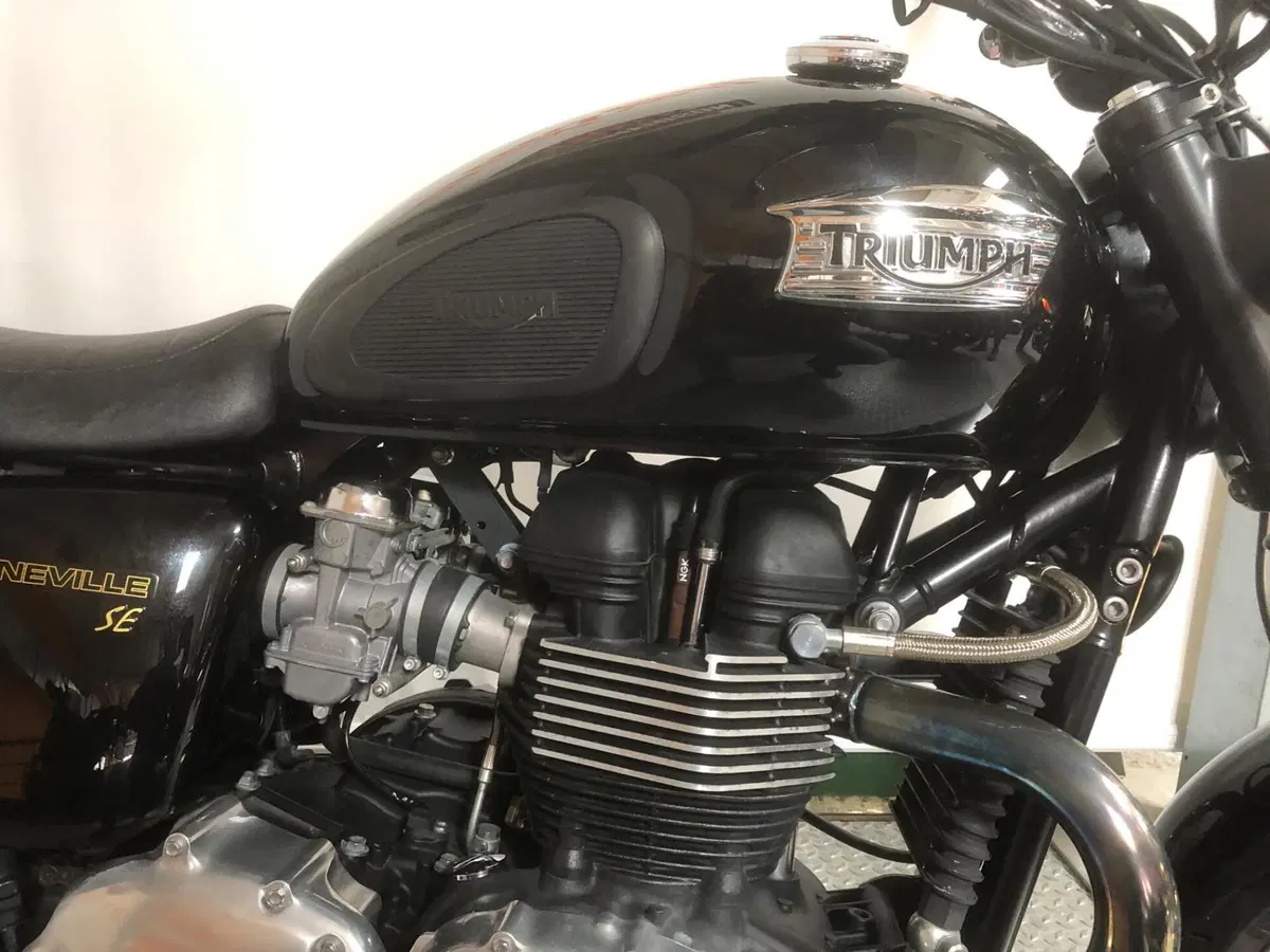 Triumph Bonneville SE (2009 - 13) (2)