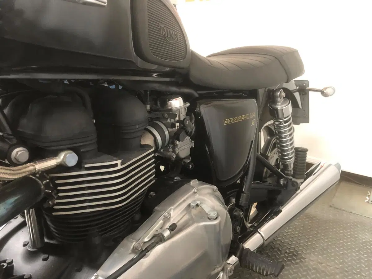 Triumph Bonneville SE (2009 - 13) (4)