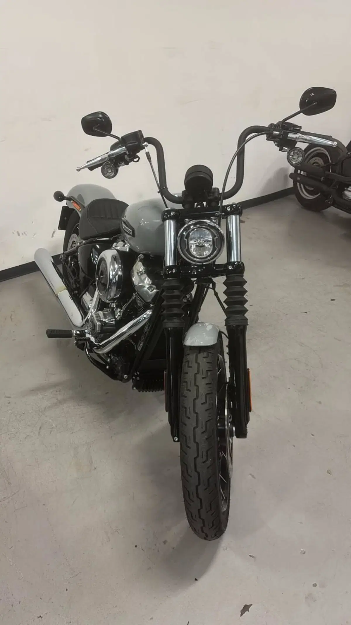 Harley-Davidson Street Bob 117 (2025 - 26) (2)