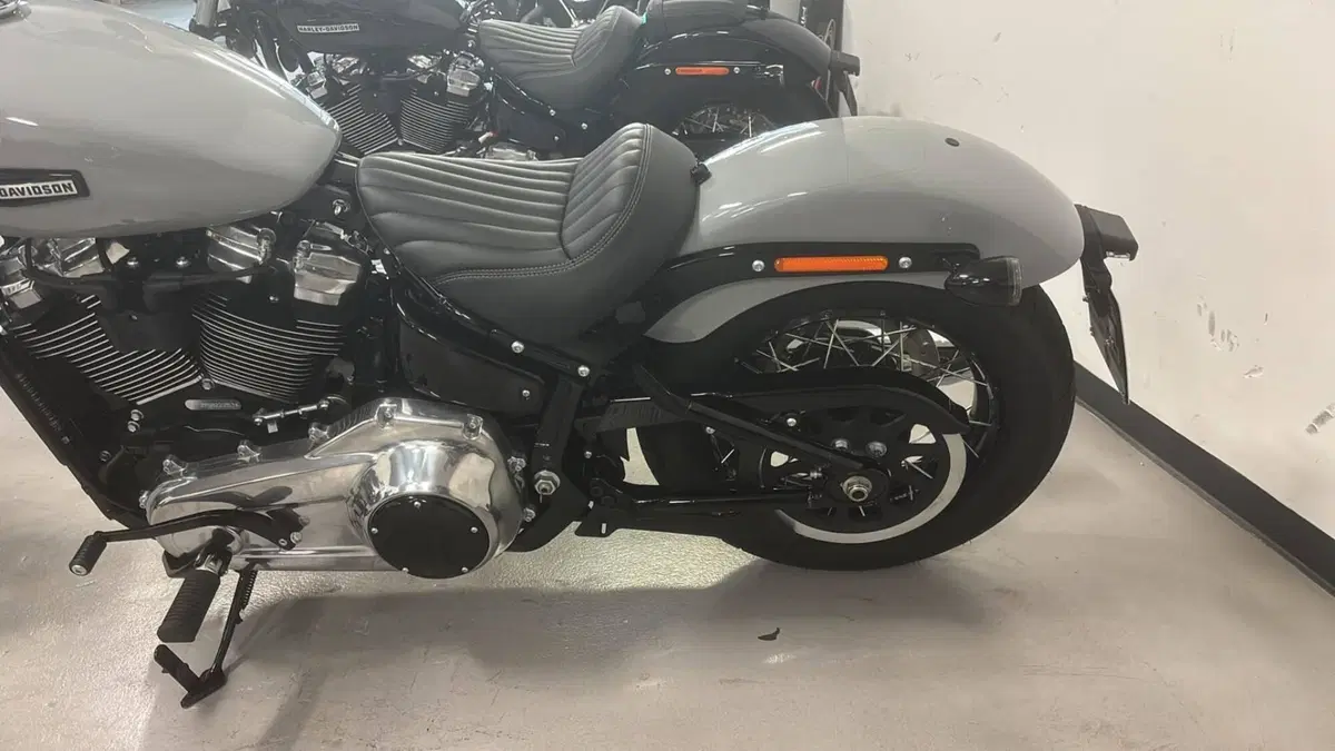 Harley-Davidson Street Bob 117 (2025 - 26) (4)