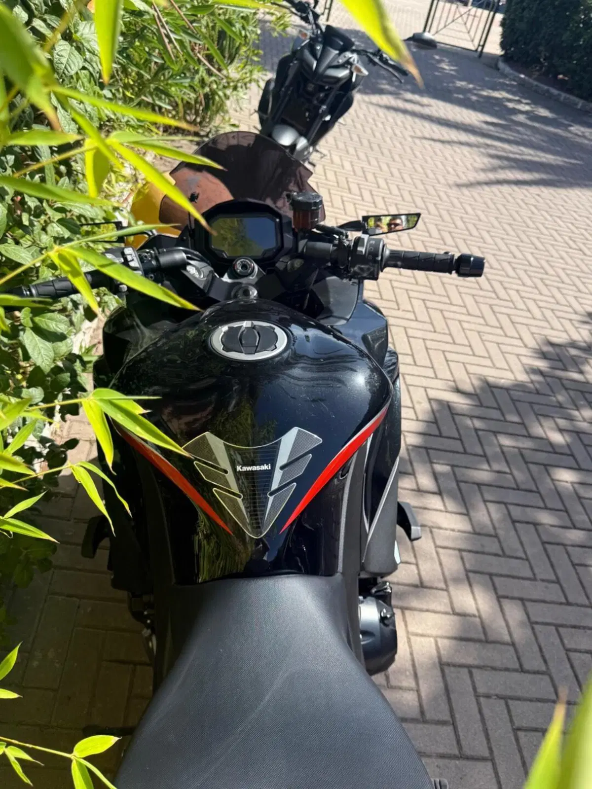 Kawasaki Ninja 1000 SX Tourer (2021 - 24) (4)