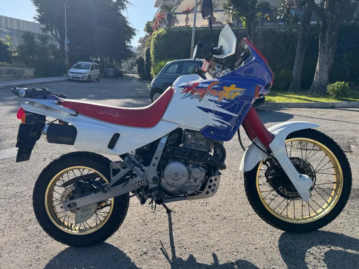 Honda NX 650 Dominator (1991 - 95) (2)
