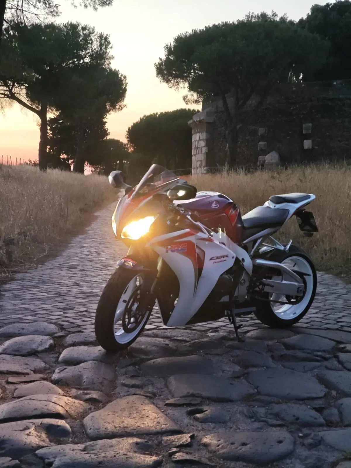 Honda CBR 1000 RR Fireblade (2008 - 11) (2)