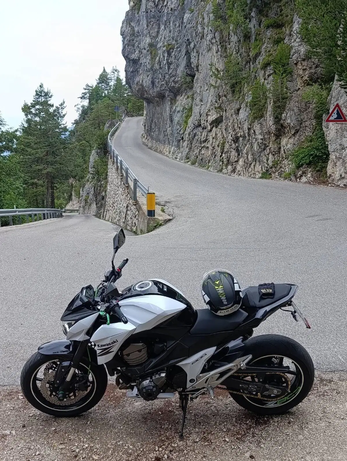 Kawasaki Z 800 e ABS (2012 - 16) (11)