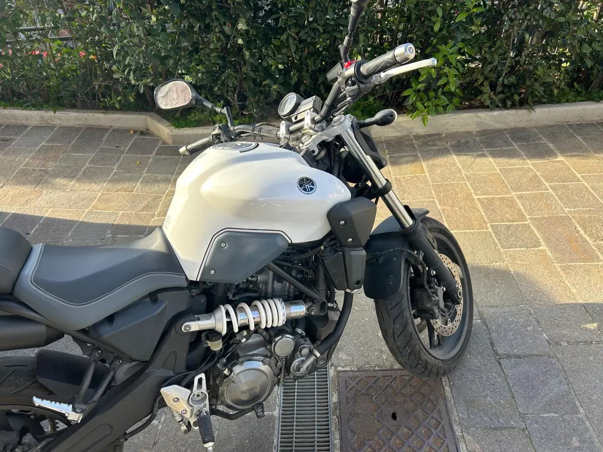 Yamaha MT-03 (2006 - 14) (7)