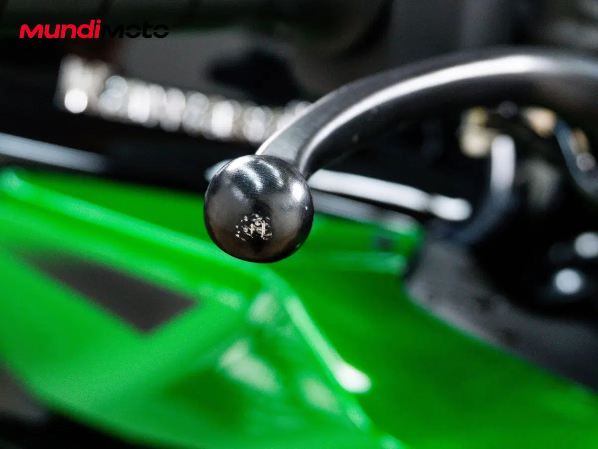 Kawasaki Ninja 1000 SX (2020) (15)
