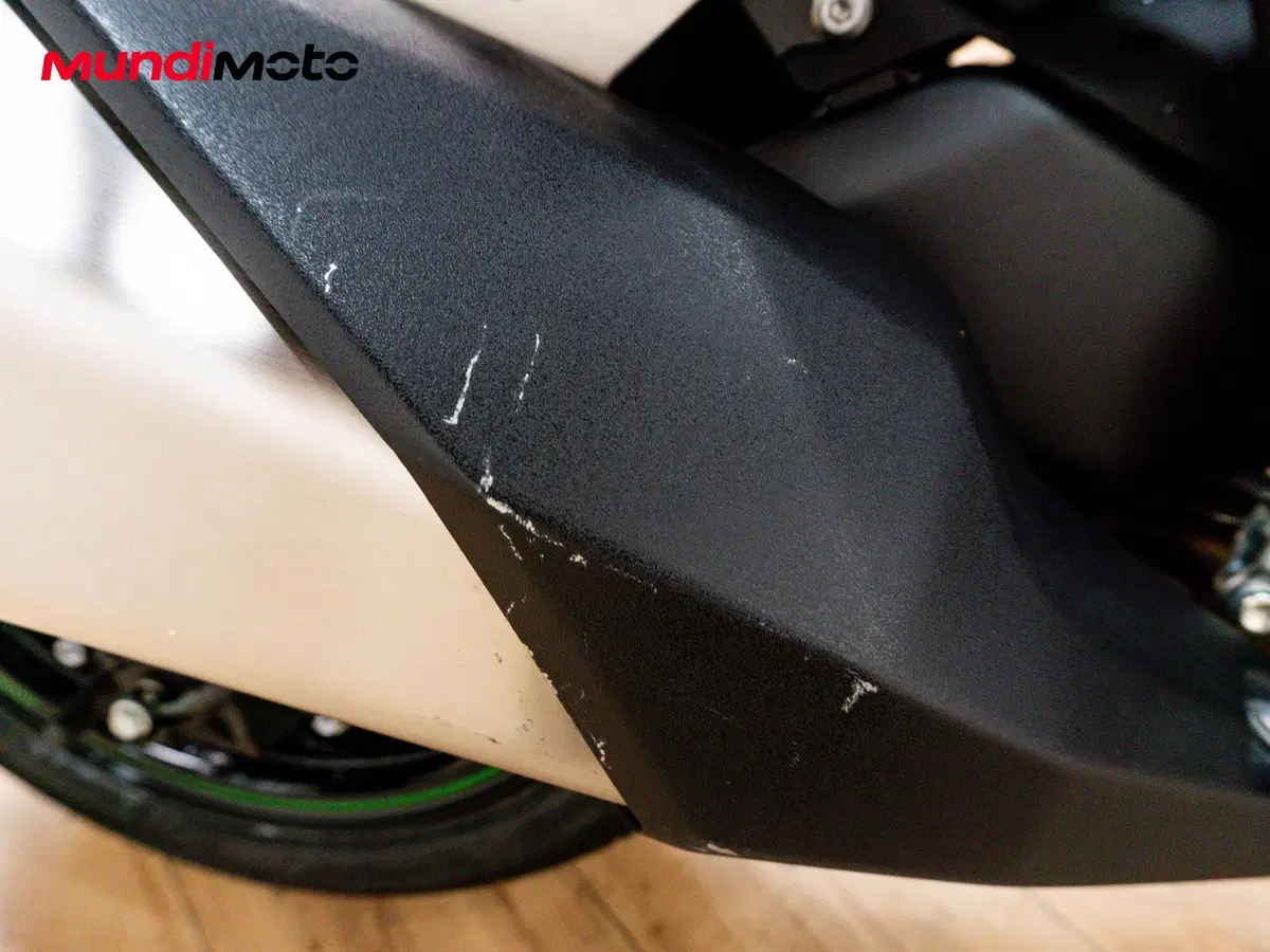 Kawasaki Ninja 1000 SX (2020) (16)