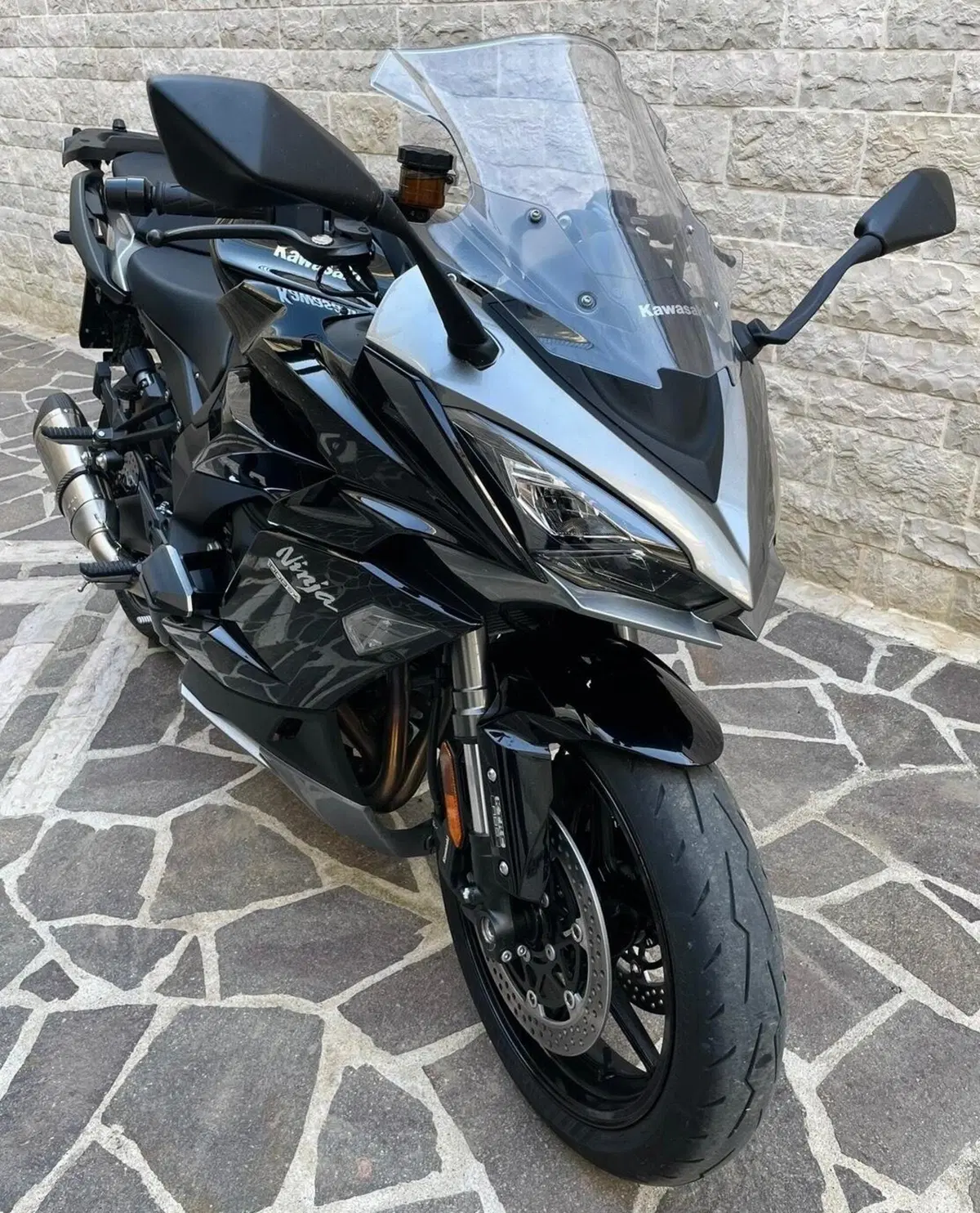 Kawasaki Ninja 1000 SX (2021 - 24) (7)