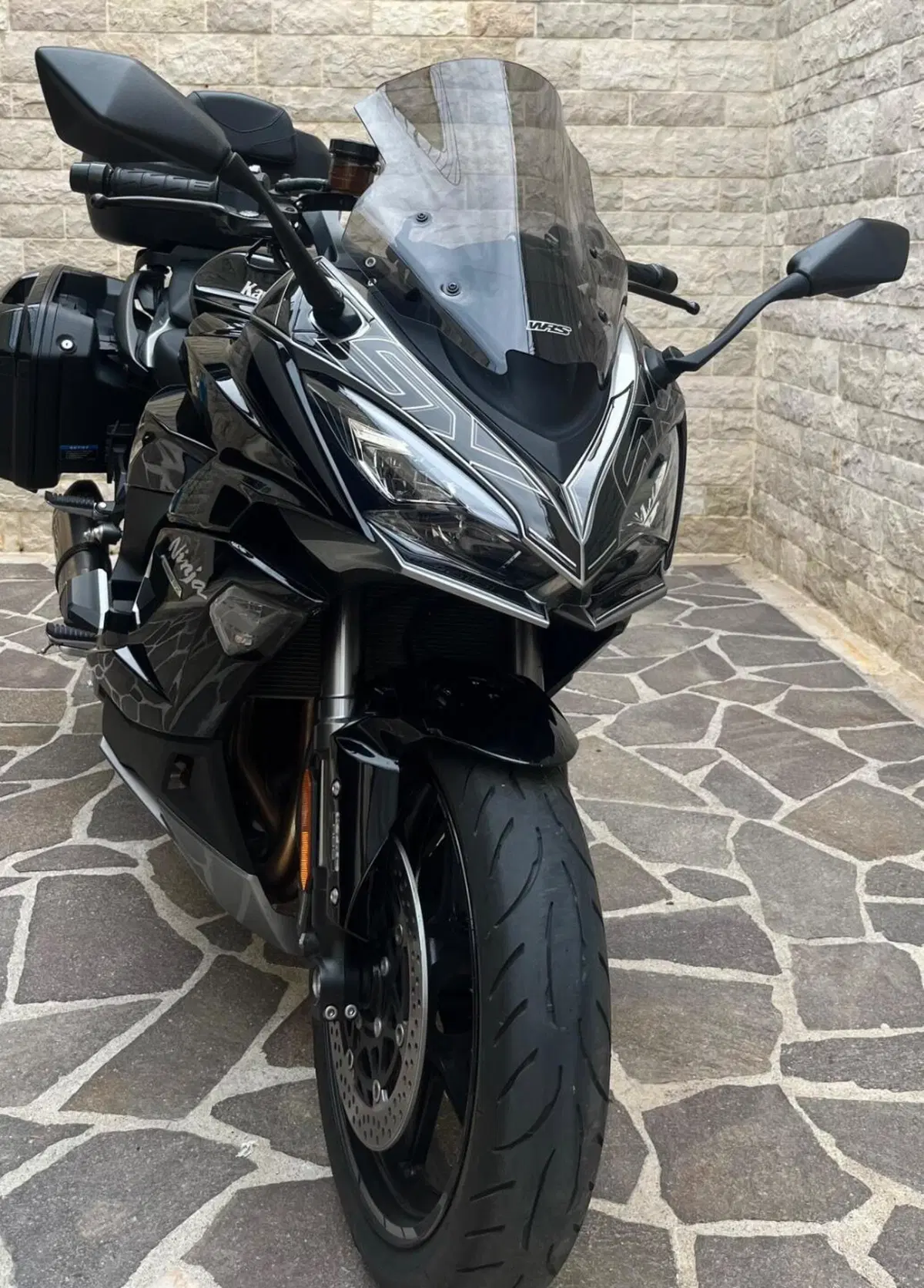 Kawasaki Ninja 1000 SX (2021 - 24) (8)