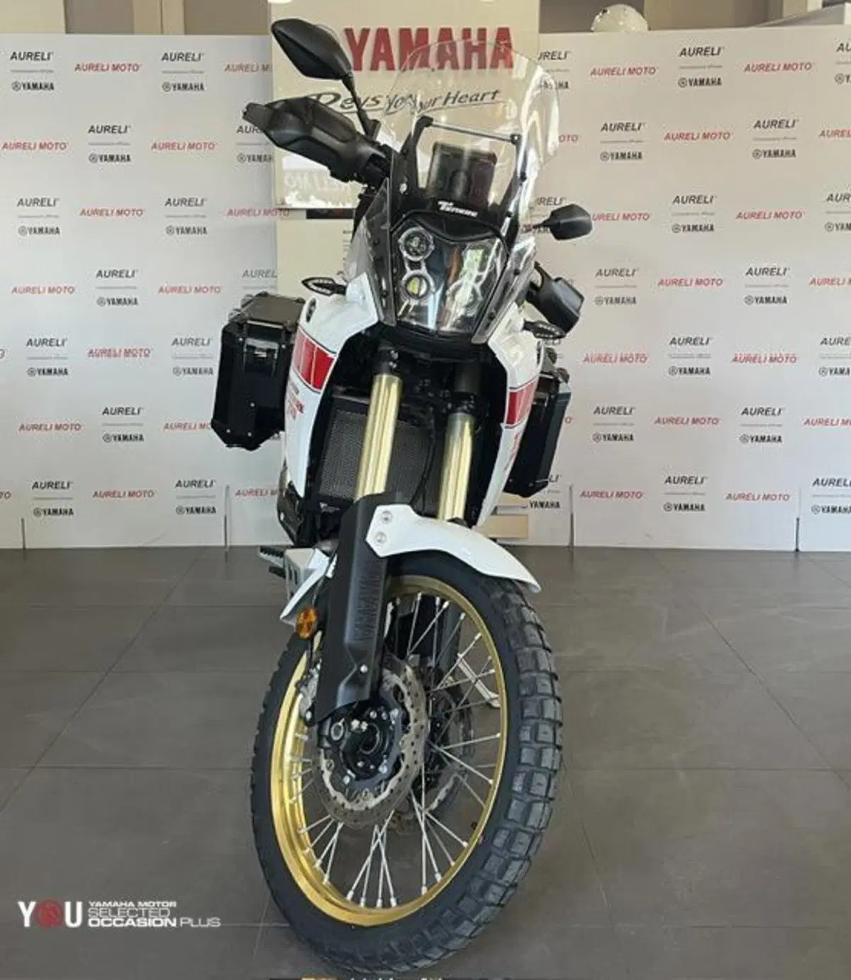 Yamaha Ténéré 700 Rally Edition (2022 - 24) (3)