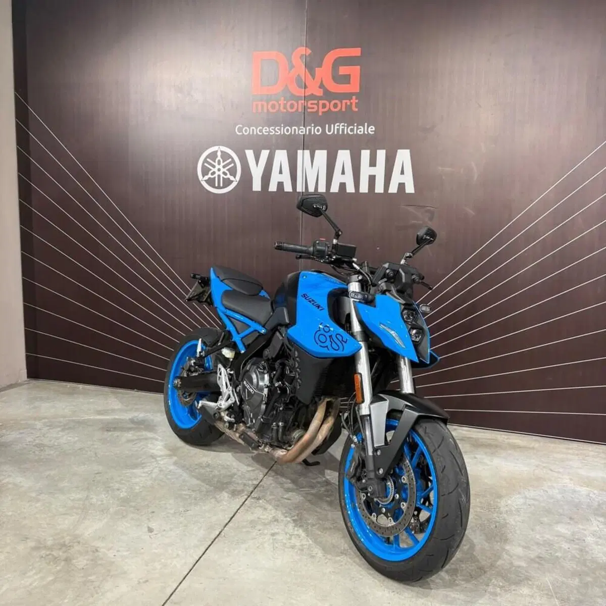Suzuki GSX-8S (2023 - 24) (2)