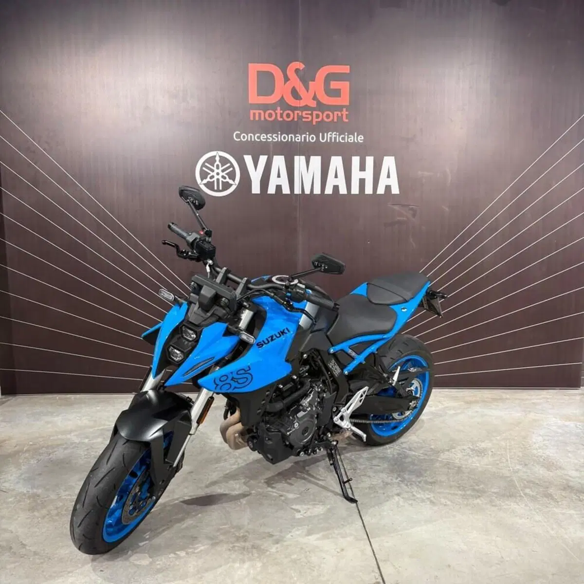 Suzuki GSX-8S (2023 - 24) (3)