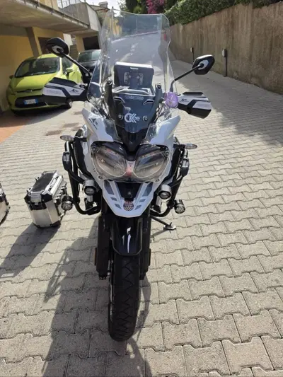 Triumph Tiger 1200 Alpine Edition (2020) usata