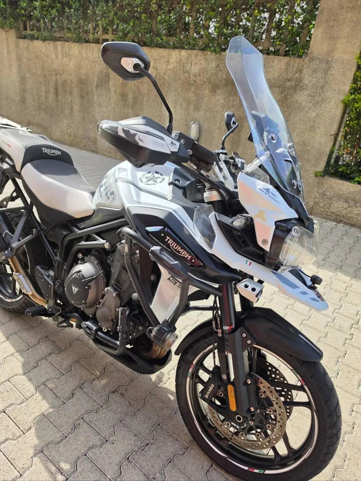 Triumph Tiger 1200 Alpine Edition (2020) (3)