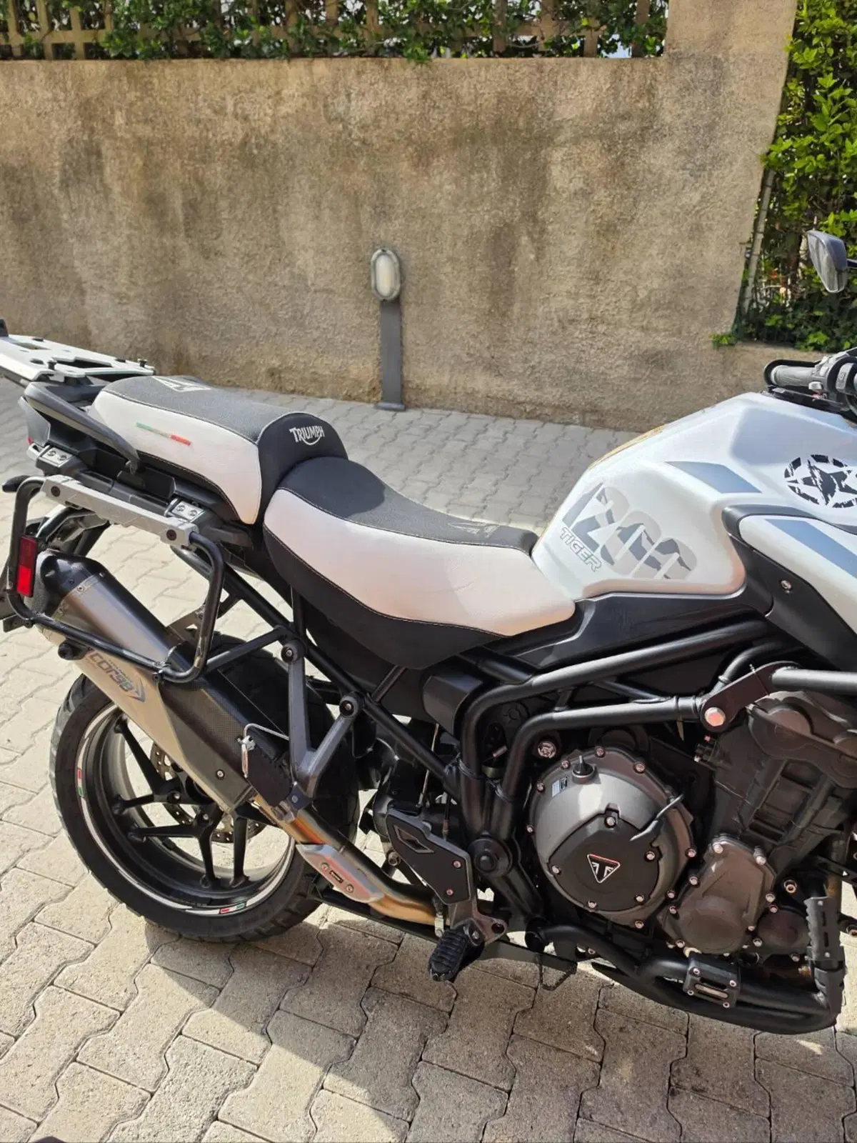 Triumph Tiger 1200 Alpine Edition (2020) (4)