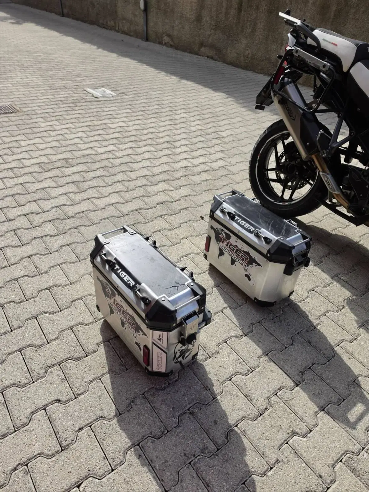 Triumph Tiger 1200 Alpine Edition (2020) (5)